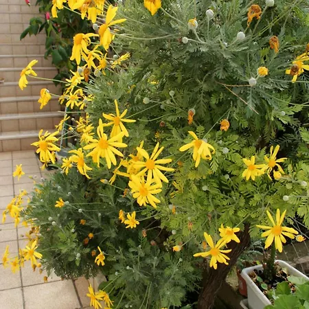 By The Sea Medvinjak, - 4439 Apartman *