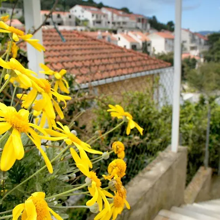 By The Sea Medvinjak, - 4439 Διαμέρισμα *