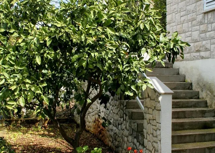 Lejlighed By The Sea Medvinjak, - 4439 *