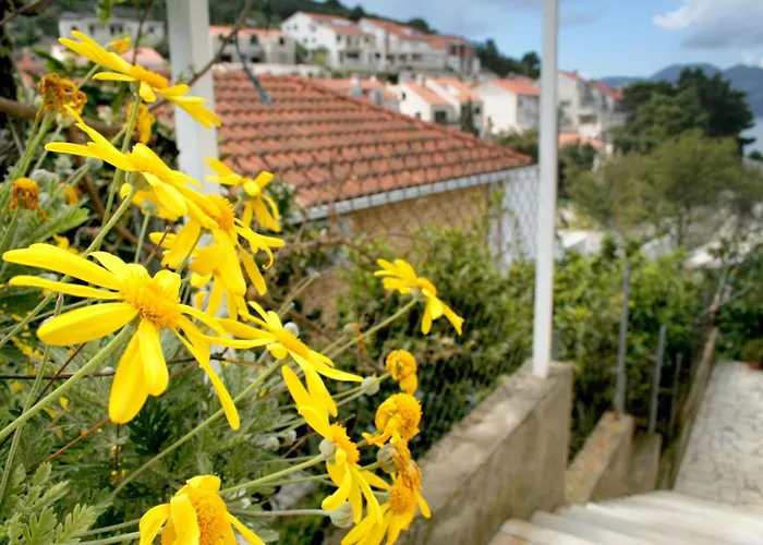 By The Sea Medvinjak, - 4439 Lejlighed *